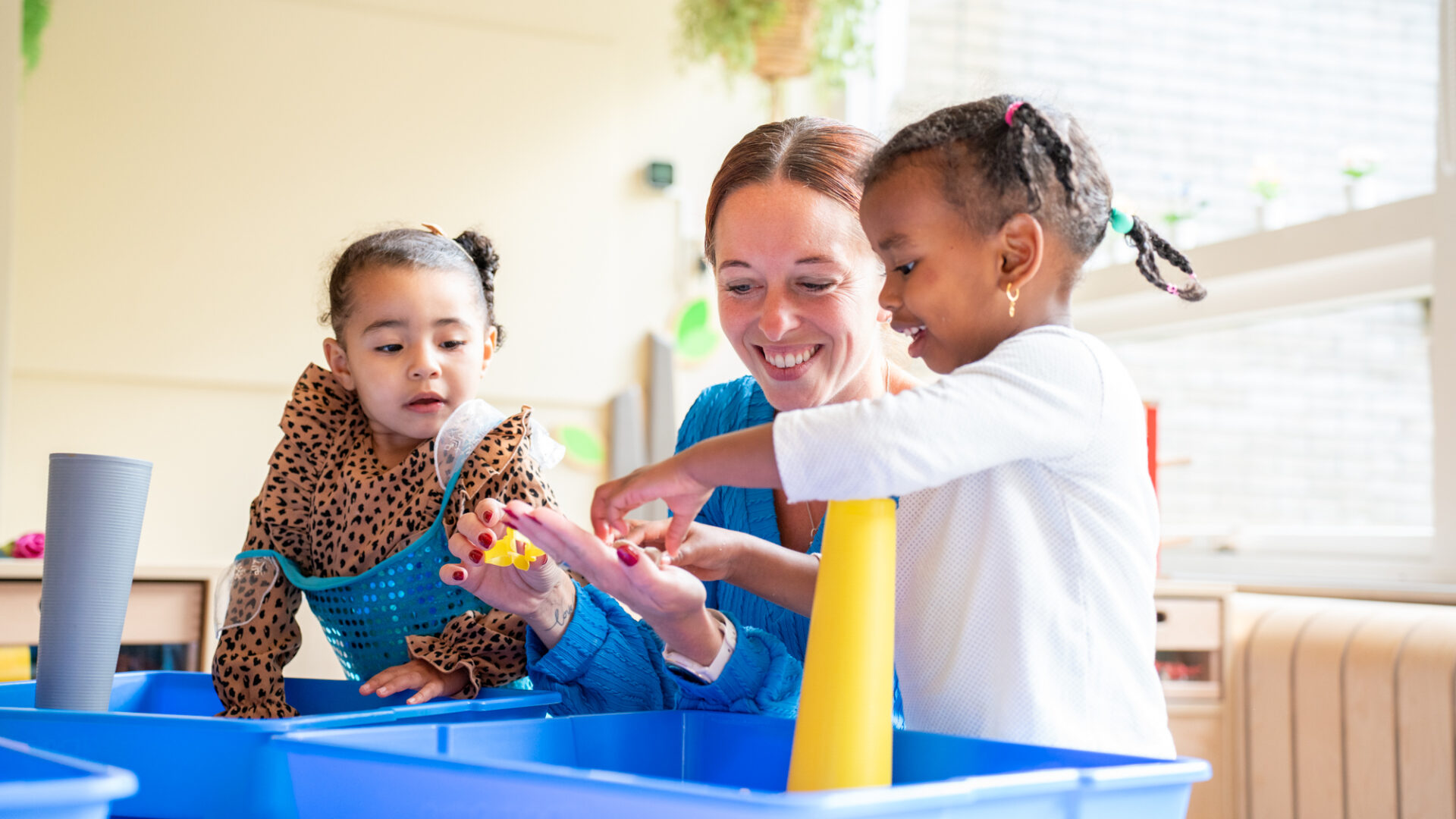 Flierefluiters 47 klein 1920x1080