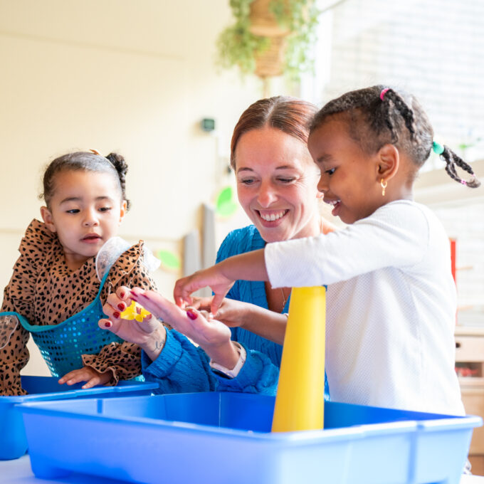 Flierefluiters 47 klein 680x680