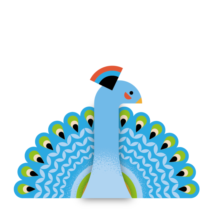 Junis illustraties vogels 3 Pauw 680x680